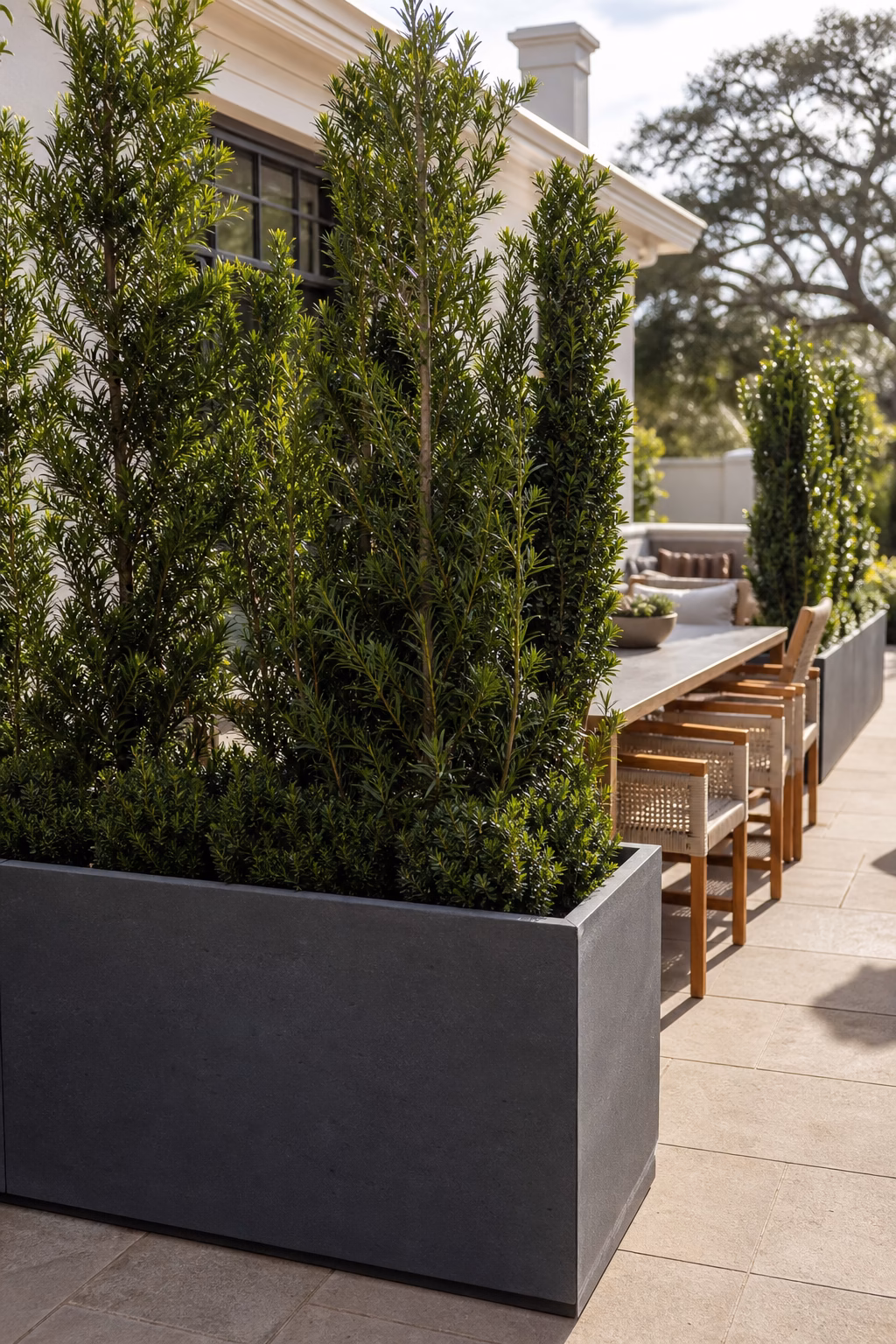 Tall planters shielding an outdoor dining table for privacy.